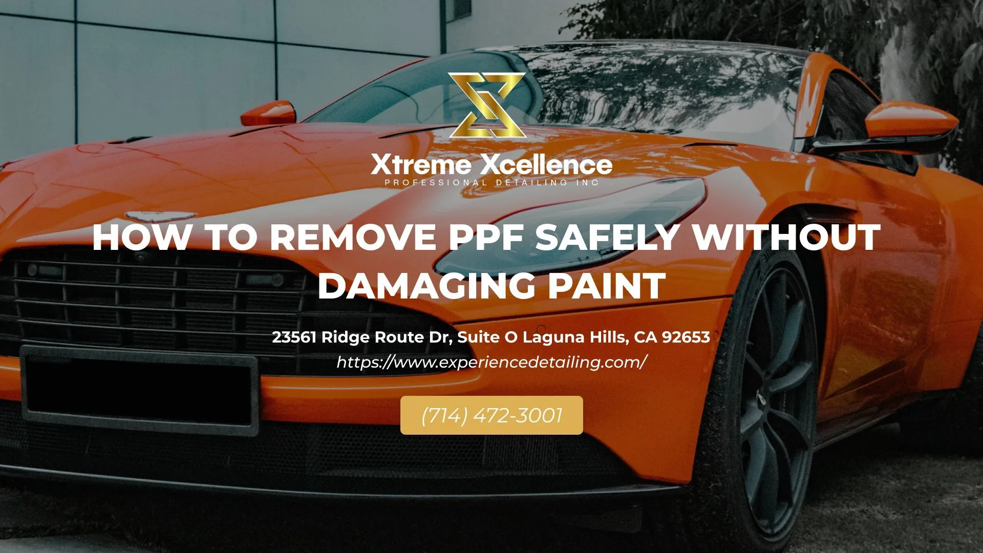 How To Remove PPF Safely Without Damaging Paint