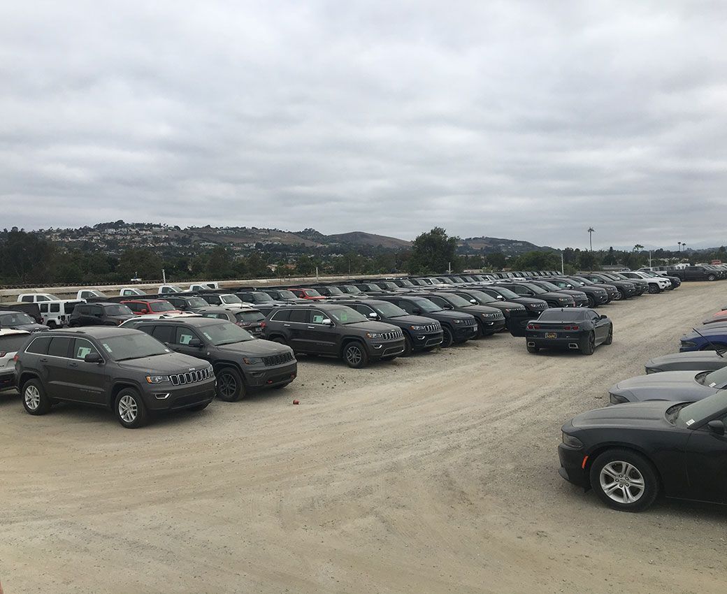 Your Fleet Vehicles Work For You - Let Us Work For Them!
