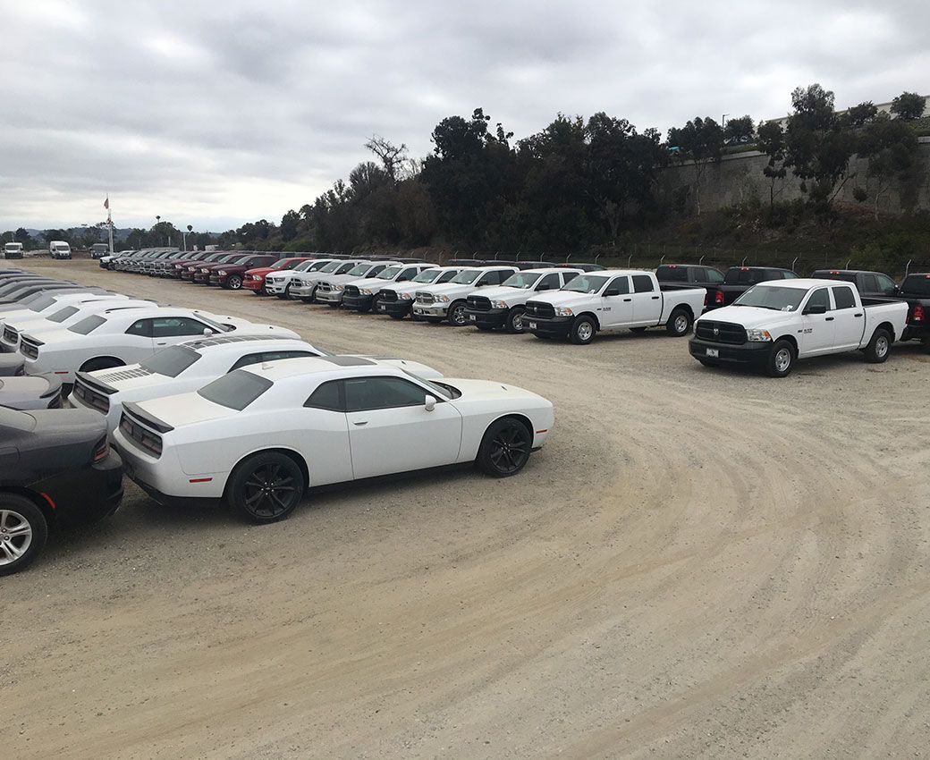 Your Fleet Vehicles Work For You - Let Us Work For Them!
